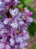 Utro_Moskvy_20210511_HP_MLD_3
