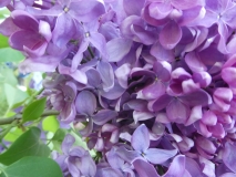 Vera_Khoruzhaya_20180526_PGBG_MLD_2