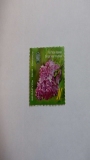 Vera_Khoruzhaya_stamp_2015_Minsk_IS