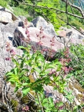 villosa_202306_S._Korea_ByoungIk_Jeoung_5