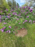 Virginia_Becker_20220528_KA_MLD_2