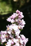 Virginite_2013_HP_TP_1