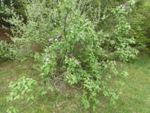 Viviand-Morel_20180510_HP_MLD_1
