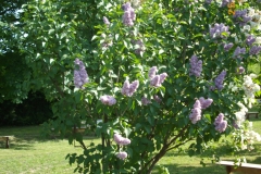 Vizija (Karklins)