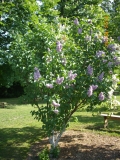 Vizija_Karklins_201405_Dobele_RR