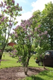 Vizija_Karklins_201805_Dobele_NS_2