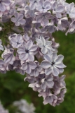 Wonderblue_2016_TRD_TP_11