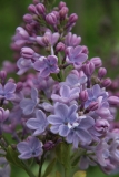 Wonderblue_2016_TRD_TP_20