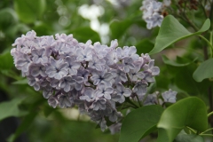 Wonderblue_2016_TRD_TP_9