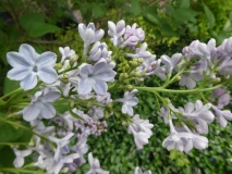 Wonderblue_201906_BP_MLD_1