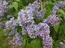 Wonderblue_201906_MBG_MLD_2