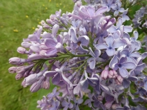 Wonderblue_201906_MBG_MLD_3