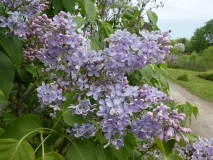 Wonderblue_201906_MBG_MLD_4