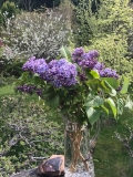 Wonderblue_2019_Washington_MAE_4