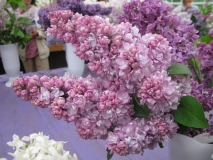 Zhdi_Menya_201905_MN_3