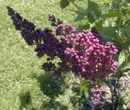 Znamya_Lenina_2003_HP_MM__DM_1