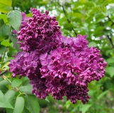 Znamya_Lenina_20220503_MLD_MLD_2