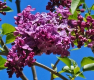 Znamya_Lenina_20240422_MLD_MLD_2