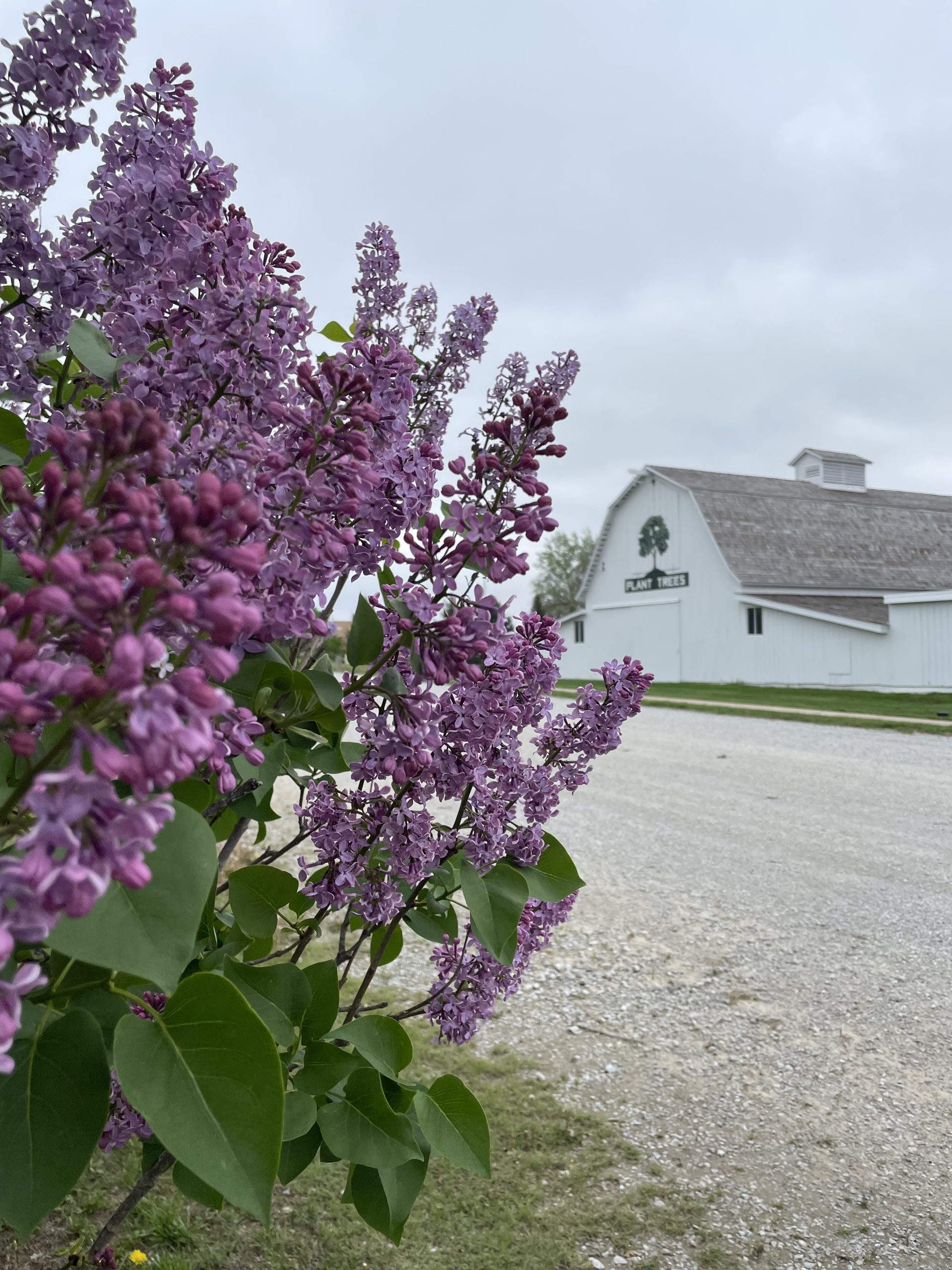 Arbor Day Farm barn