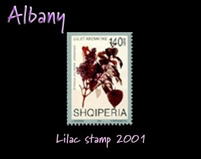 Albany lilac stamp