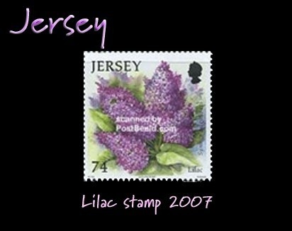 Jersey lilac stamp