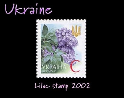 Ukraine lilac stamp