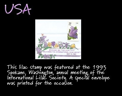 USA lilac stamp